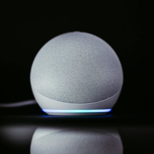 Speaker